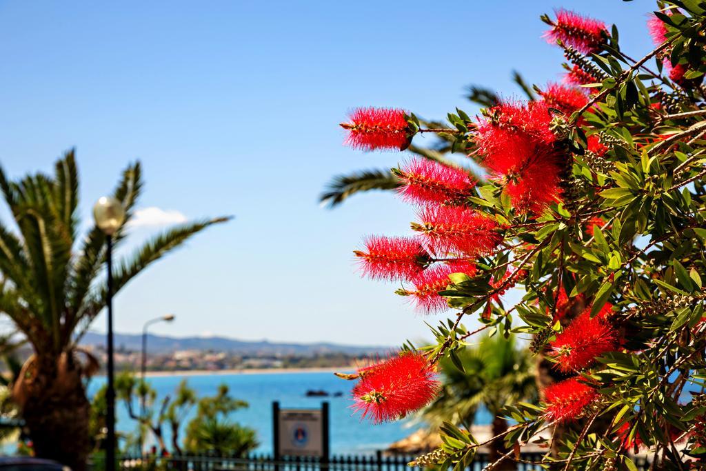 Stam'S Paradise Chania  Exterior photo
